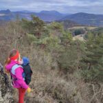Babywearing Smart Cover 2in1
